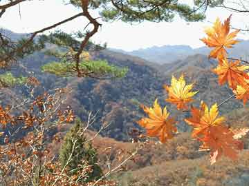 今晚澳門六開彩開獎(jiǎng)結(jié)果和查詢,系統(tǒng)化解答解釋說明_零障礙版BSS7.76