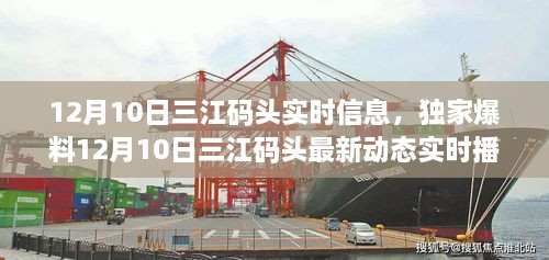獨家爆料，三江碼頭最新動態(tài)實時播報（12月10日更新）