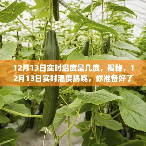 揭秘，12月13日實時溫度揭曉，氣溫預(yù)警已發(fā)布！