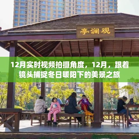 12月冬日美景之旅，捕捉暖陽下的絕佳拍攝角度