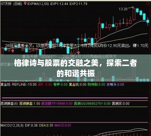 格律詩與股票的交融之美，探索二者的和諧共振