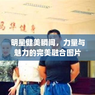 明星健美瞬間，力量與魅力的完美融合圖片展示