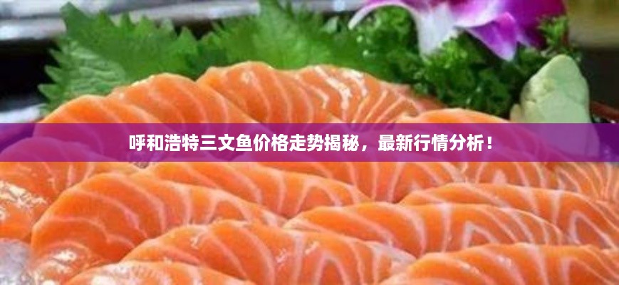 呼和浩特三文魚價格走勢揭秘，最新行情分析！