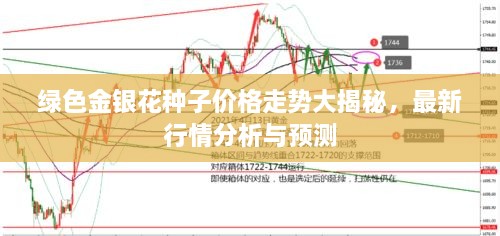 綠色金銀花種子價格走勢大揭秘，最新行情分析與預測