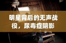 明星背后的無聲戰(zhàn)役，尿毒癥陰影下的星光挑戰(zhàn)