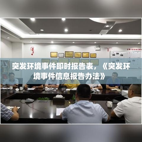 突發(fā)環(huán)境事件即時報告表，《突發(fā)環(huán)境事件信息報告辦法》 