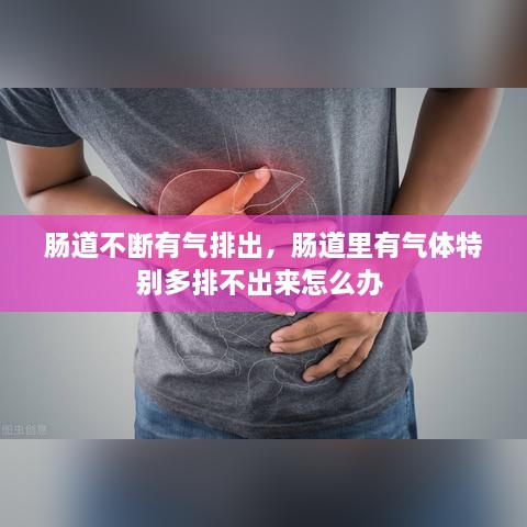 腸道不斷有氣排出，腸道里有氣體特別多排不出來怎么辦 