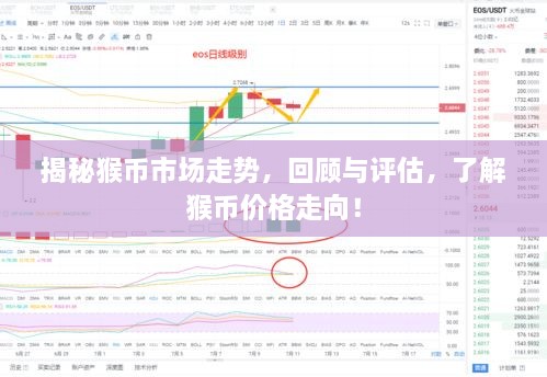 揭秘猴幣市場走勢，回顧與評估，了解猴幣價格走向！