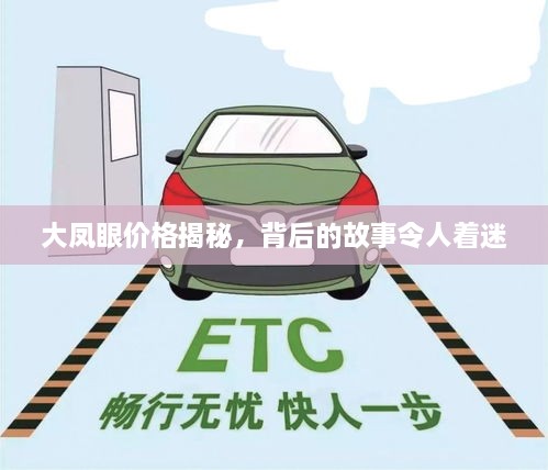 大鳳眼價格揭秘，背后的故事令人著迷