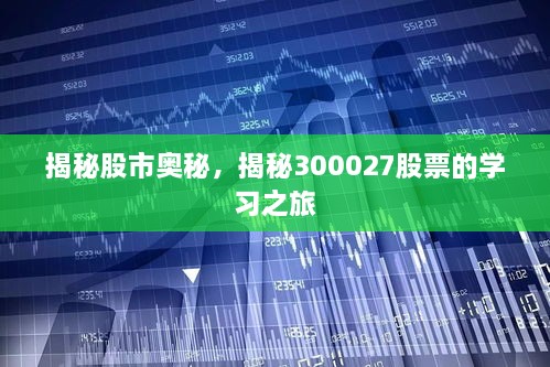 揭秘股市奧秘，揭秘300027股票的學習之旅