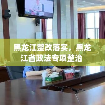 黑龍江整改落實，黑龍江省政法專項整治 