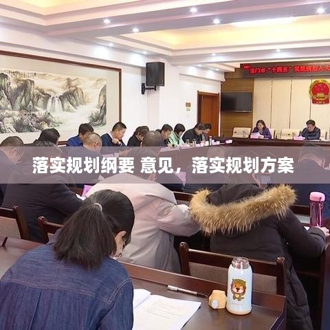 落實規(guī)劃綱要 意見，落實規(guī)劃方案 