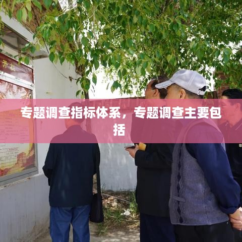 專題調(diào)查指標(biāo)體系，專題調(diào)查主要包括 