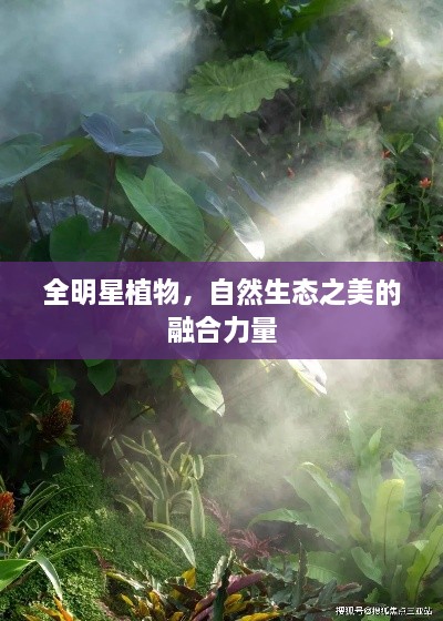 全明星植物，自然生態(tài)之美的融合力量
