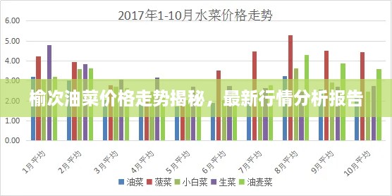 榆次油菜價(jià)格走勢揭秘，最新行情分析報(bào)告