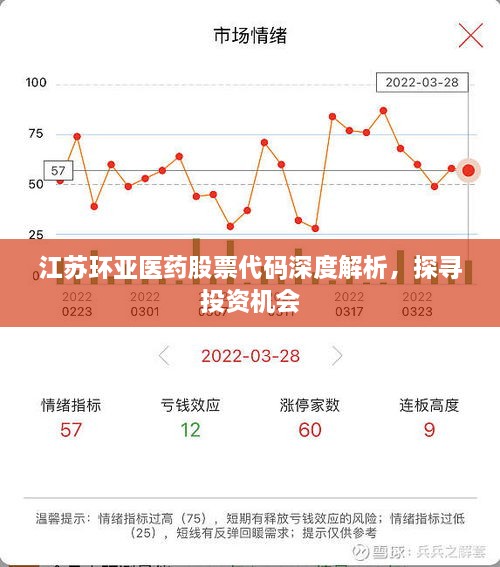 江蘇環(huán)亞醫(yī)藥股票代碼深度解析，探尋投資機會