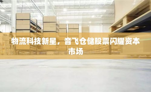 物流科技新星，音飛倉儲股票閃耀資本市場