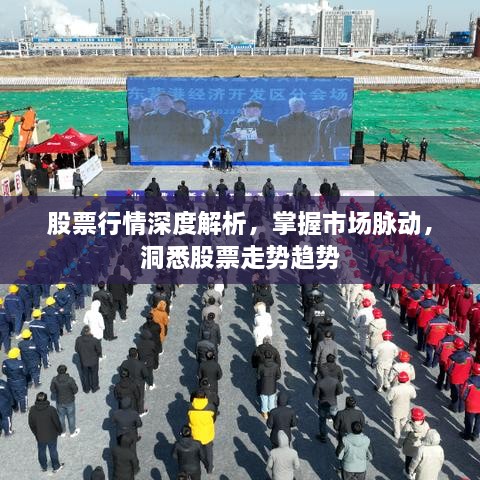 股票行情深度解析，掌握市場(chǎng)脈動(dòng)，洞悉股票走勢(shì)趨勢(shì)