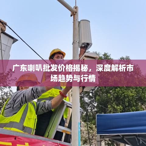 廣東喇叭批發(fā)價(jià)格揭秘，深度解析市場(chǎng)趨勢(shì)與行情