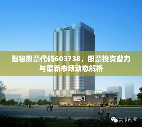 揭秘股票代碼603738，股票投資潛力與最新市場動態(tài)解析