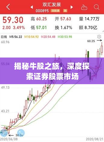 揭秘牛股之旅，深度探索證券股票市場