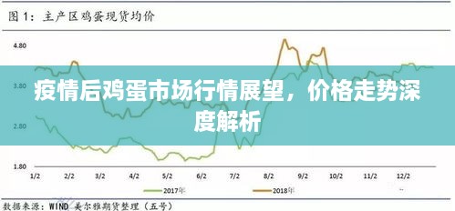 疫情后雞蛋市場(chǎng)行情展望，價(jià)格走勢(shì)深度解析