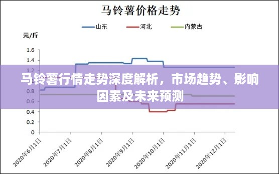 馬鈴薯行情走勢深度解析，市場趨勢、影響因素及未來預測