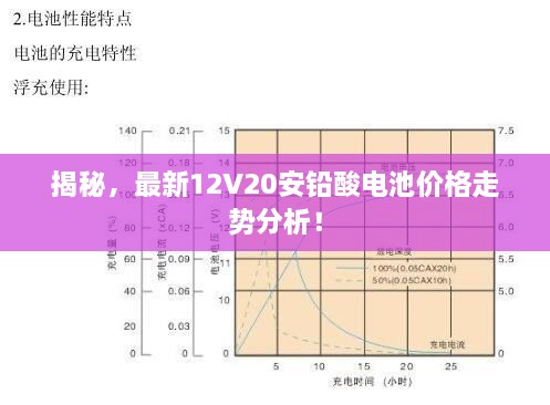 揭秘，最新12V20安鉛酸電池價格走勢分析！