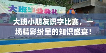 大班小朋友識(shí)字比賽，一場精彩紛呈的知識(shí)盛宴！