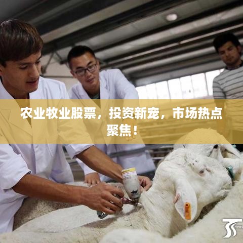 農(nóng)業(yè)牧業(yè)股票，投資新寵，市場熱點聚焦！