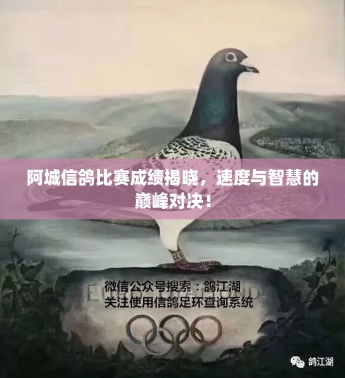 阿城信鴿比賽成績(jī)揭曉，速度與智慧的巔峰對(duì)決！