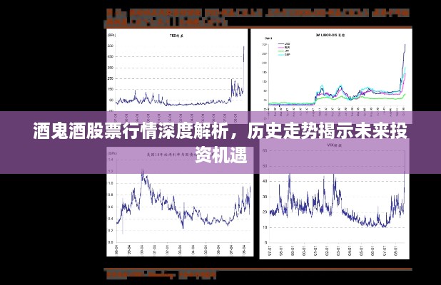 酒鬼酒股票行情深度解析，歷史走勢揭示未來投資機遇