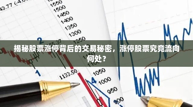 揭秘股票漲停背后的交易秘密，漲停股票究竟流向何處？