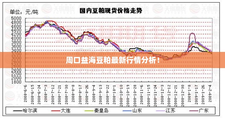 周口益海豆粕最新行情分析！