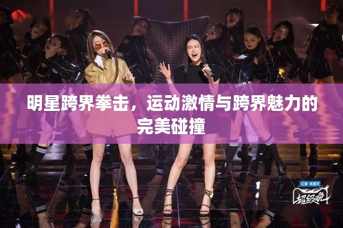 明星跨界拳擊，運動激情與跨界魅力的完美碰撞