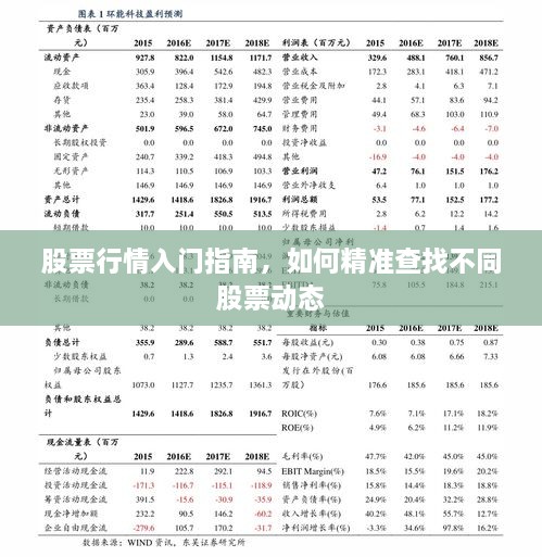 股票行情入門指南，如何精準(zhǔn)查找不同股票動(dòng)態(tài)