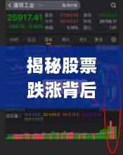 揭秘股票跌漲背后的風(fēng)險(xiǎn)與策略，如何巧妙應(yīng)對股市波動(dòng)？