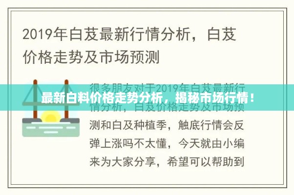 最新白料價(jià)格走勢(shì)分析，揭秘市場(chǎng)行情！