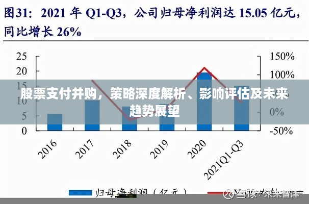 股票支付并購，策略深度解析、影響評估及未來趨勢展望