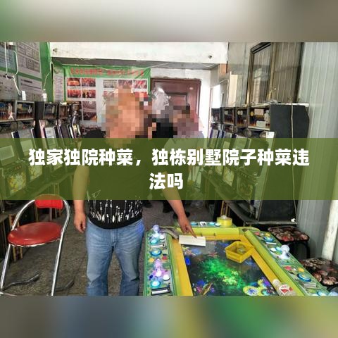獨(dú)家獨(dú)院種菜，獨(dú)棟別墅院子種菜違法嗎 