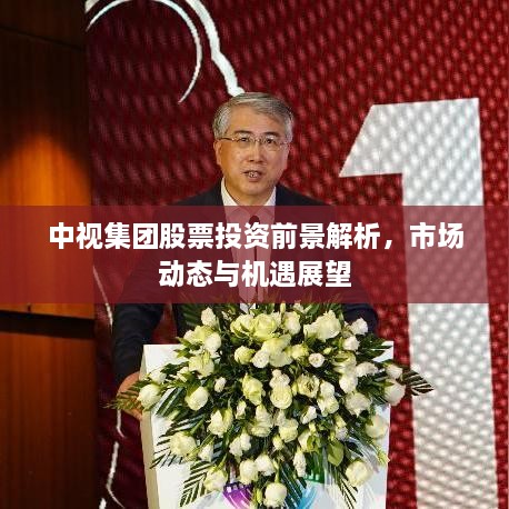 中視集團股票投資前景解析，市場動態(tài)與機遇展望