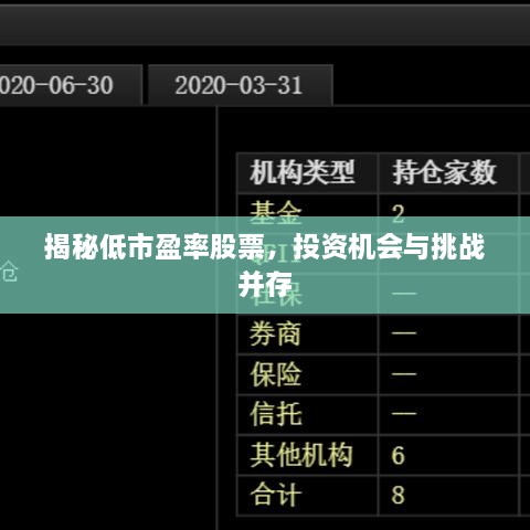 揭秘低市盈率股票，投資機(jī)會(huì)與挑戰(zhàn)并存