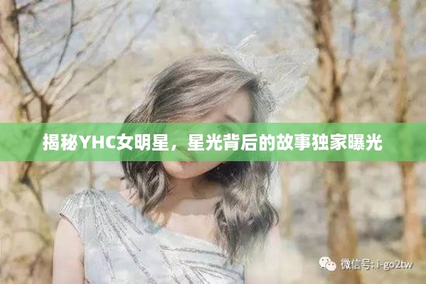 揭秘YHC女明星，星光背后的故事獨(dú)家曝光