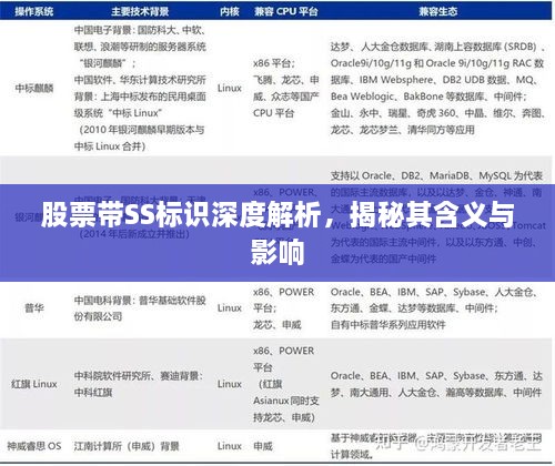 股票帶SS標(biāo)識深度解析，揭秘其含義與影響