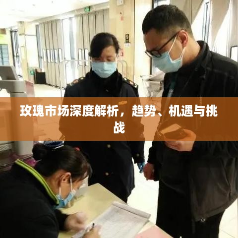 玫瑰市場深度解析，趨勢、機遇與挑戰(zhàn)
