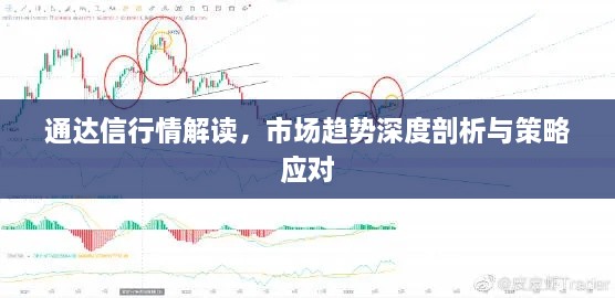 通達(dá)信行情解讀，市場(chǎng)趨勢(shì)深度剖析與策略應(yīng)對(duì)
