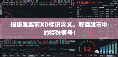 揭秘股票前XD標(biāo)識(shí)含義，解讀股市中的特殊信號(hào)！