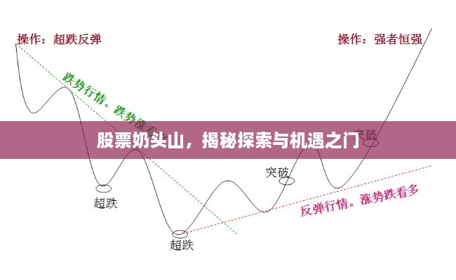 股票奶頭山，揭秘探索與機遇之門