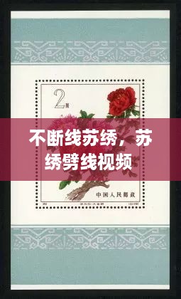 不斷線蘇繡，蘇繡劈線視頻 