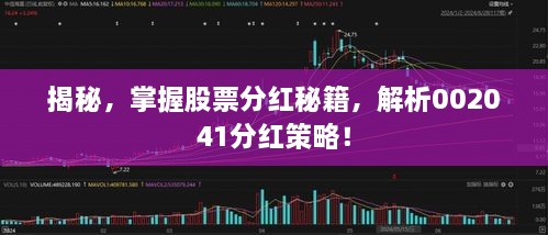 揭秘，掌握股票分紅秘籍，解析002041分紅策略！